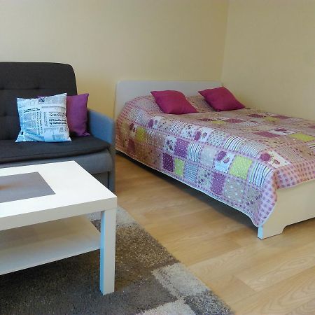 Gina'S Apartment Partizanu G Kaunas Dış mekan fotoğraf