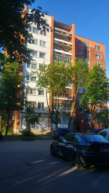 Gina'S Apartment Partizanu G Kaunas Dış mekan fotoğraf