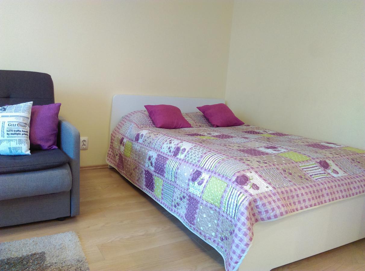 Gina'S Apartment Partizanu G Kaunas Dış mekan fotoğraf